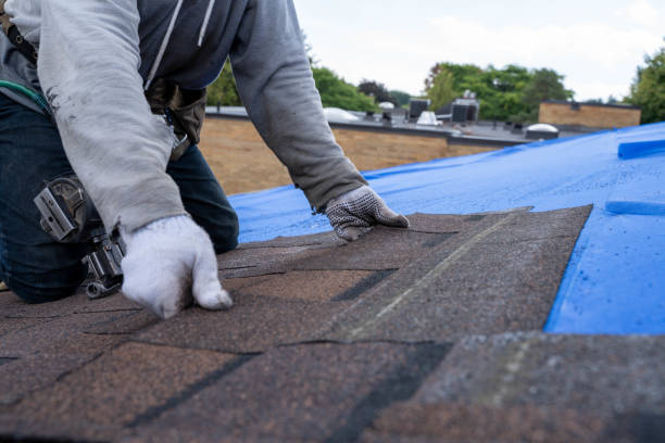 Roof Repair Estimates in Zumbrota, MN